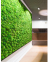 GREEN WALLS
