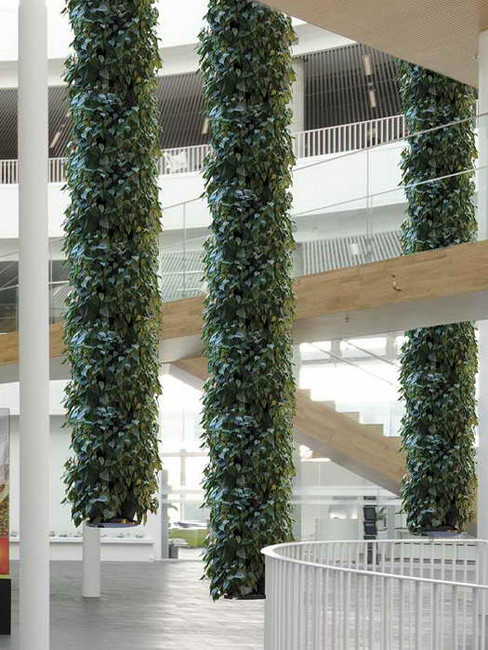 Hängende Gärten: Lianensystem.