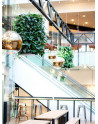 Liana System in Bowls, Hanging Gardens