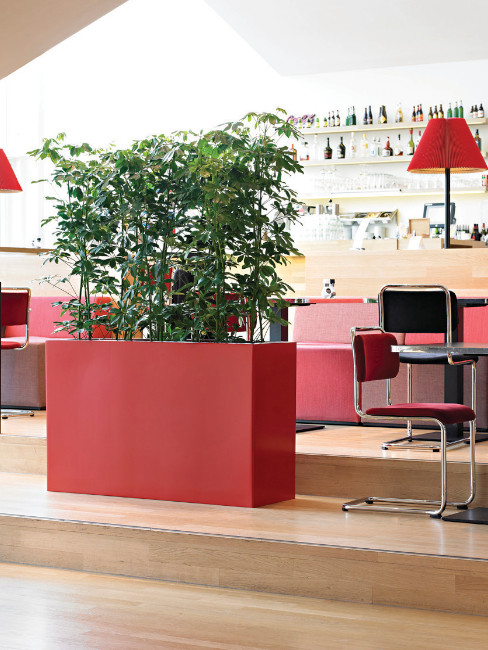 ZONDA als Raumteiler