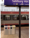 SN-274 Litter Separation Unit with 4 sections made of stainless steel