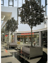 SN-140 Smoker Stand and Litter Bin with Planter ZONDA and seating LINEA