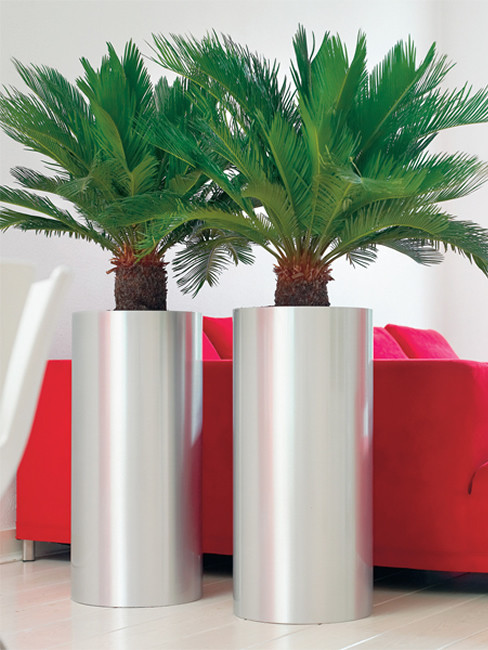 KOSI Pedestal Planter made of stainless steel