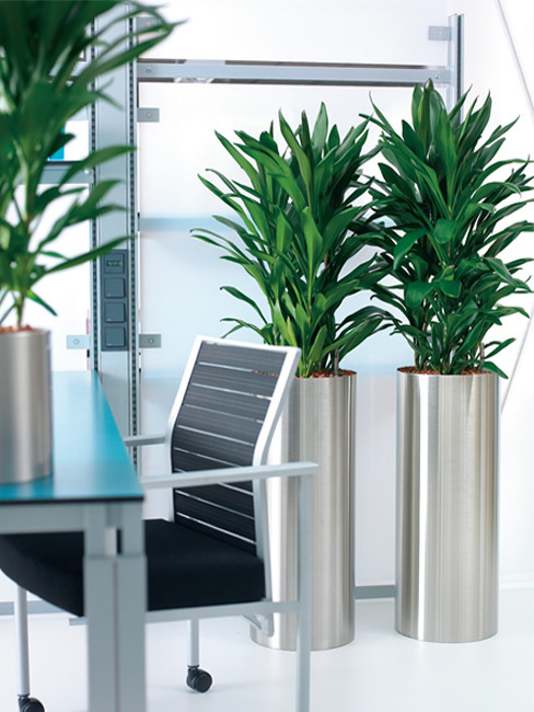 KOSI Pflanzensäule aus Edelstahl geschliffen