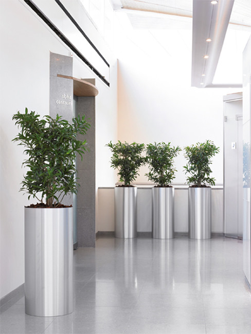 KOSI Pflanzensäule aus Edelstahl geschliffen