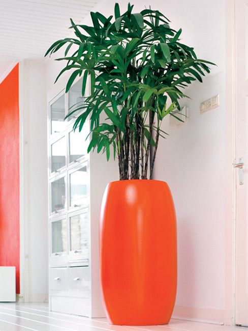 SUNO Pflanzensäule aus Kunststoff