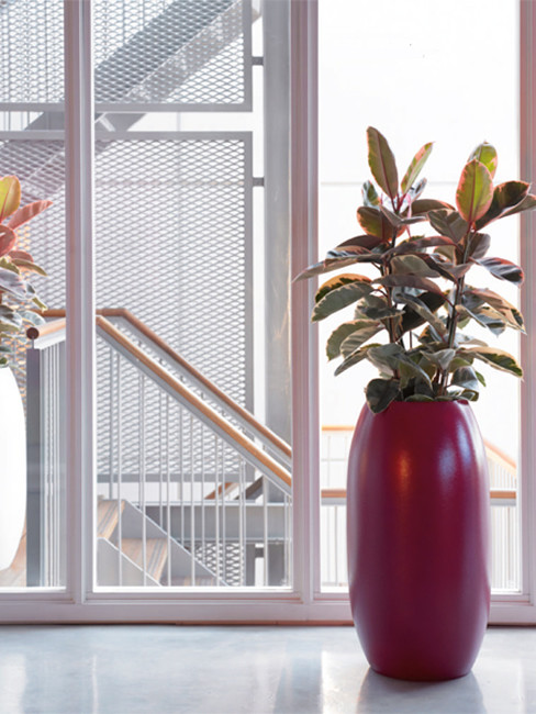 SUNO Pflanzensäule aus Kunststoff