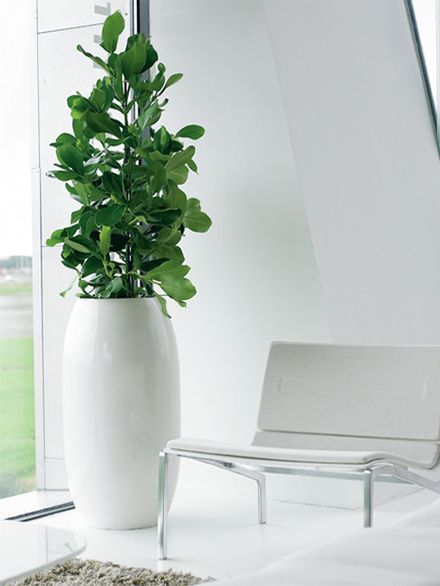 SUNO Pflanzensäule aus Kunststoff