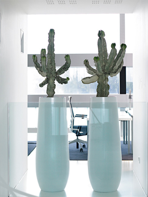 SAMU Pedestal Planters made of polystyrene with cambered  base