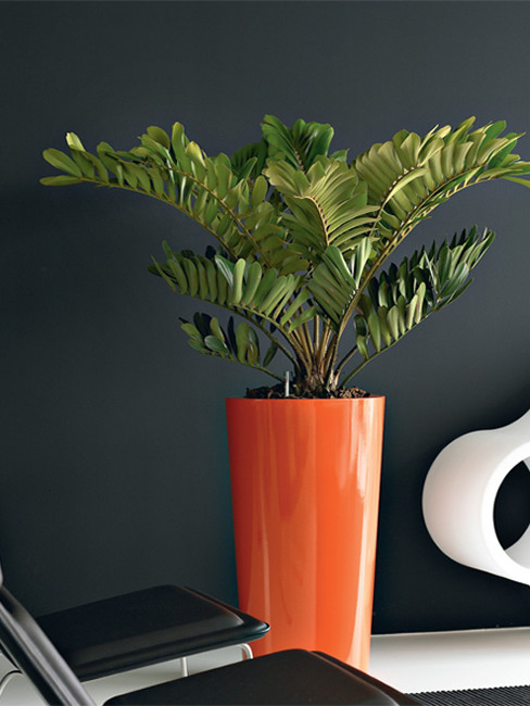 conical Pedestal Planter made of Polystyrene LEVAN