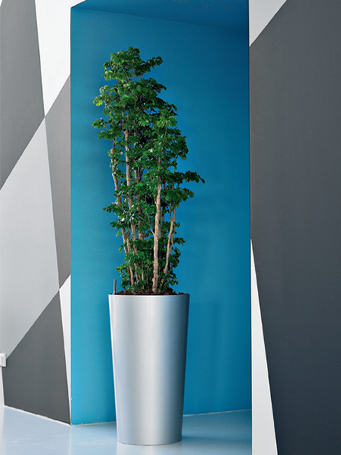 conical Pedestal Planter made of Polystyrene LEVAN