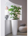 conical Pedestal Planter made of Polystyrene LEVAN