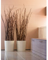 conical Planters made of Polystyrene LEVAN