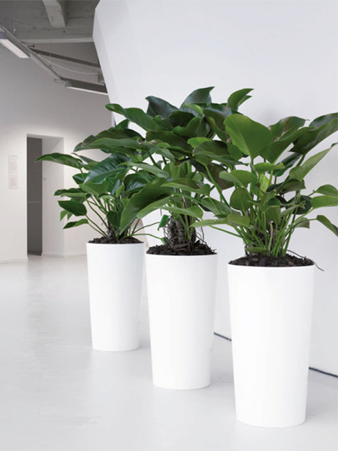 conical Pedestal Planters made of Polystyrene LEVAN