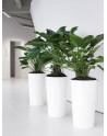 conical Pedestal Planters made of Polystyrene LEVAN