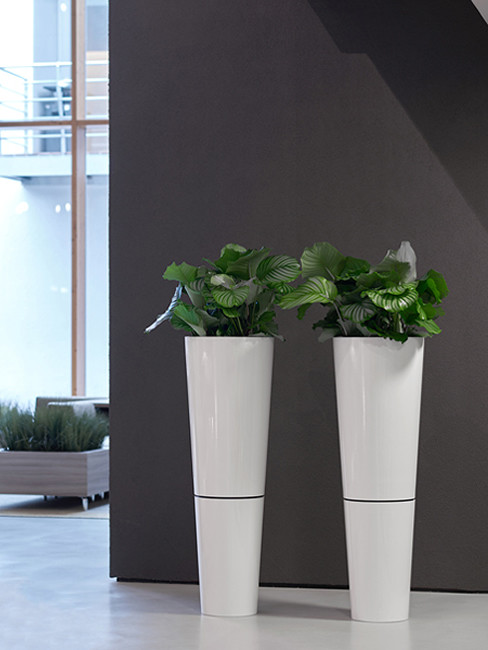 conical Pedestal Planter with shadow gap made of Polystyrene with FAVORO