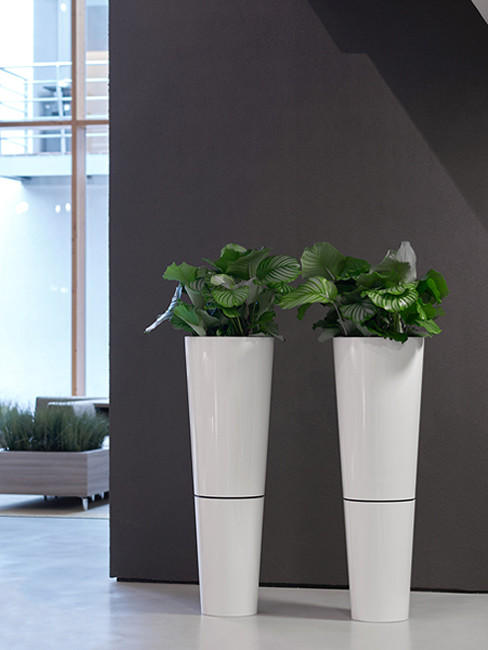 conical Pedestal Planter with shadow gap made of Polystyrene with FAVORO conical Pedestal Planter with shadow gap made of Polystyrene with FAVORO