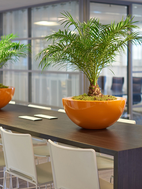 BOMO Table Planters with wide top edge