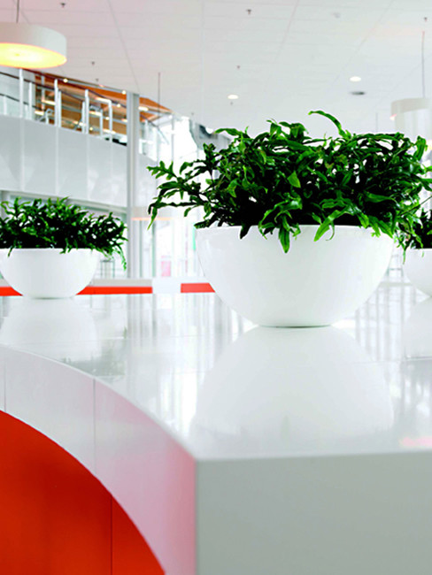 BOMO Tischgefäße aus Kunststoff