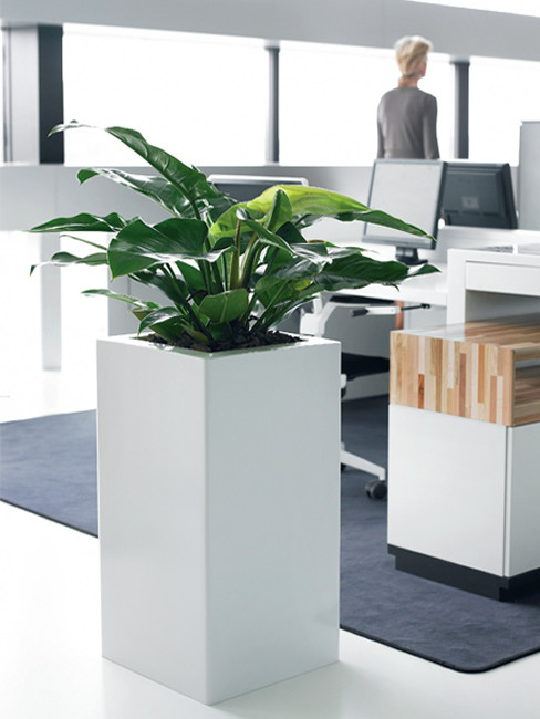 ZONDA: square Pedestal Planter with wide top edge made of Polystyrene