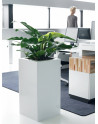 ZONDA: square Pedestal Planter with wide top edge made of Polystyrene