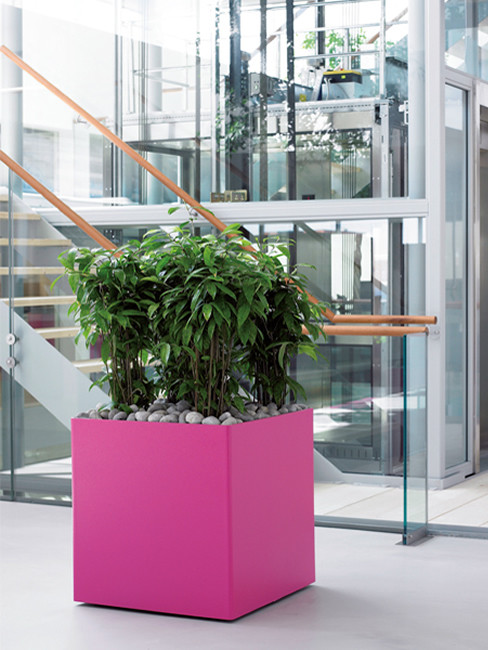 ZONDA: square Planter made of Polystyrene