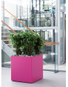 ZONDA: square Planter made of Polystyrene