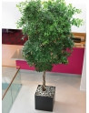 ZONDA: square Planter made of Polystyrene