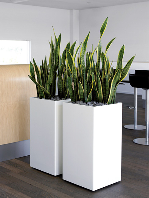 ZONDA: square Pedestal Planters made of Polystyrene