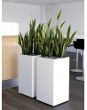 ZONDA: square Pedestal Planters made of Polystyrene