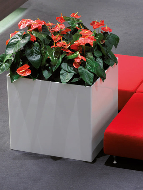 ZONDA: square Planter made of Polystyrene
