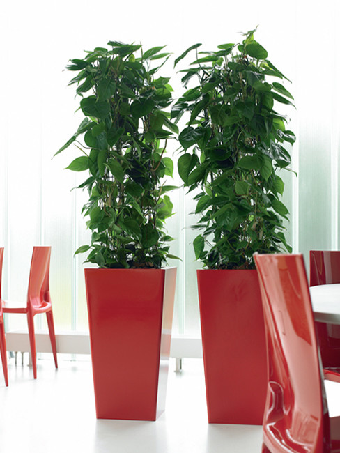 VOLTA: square and conical Pedestal Planters made of