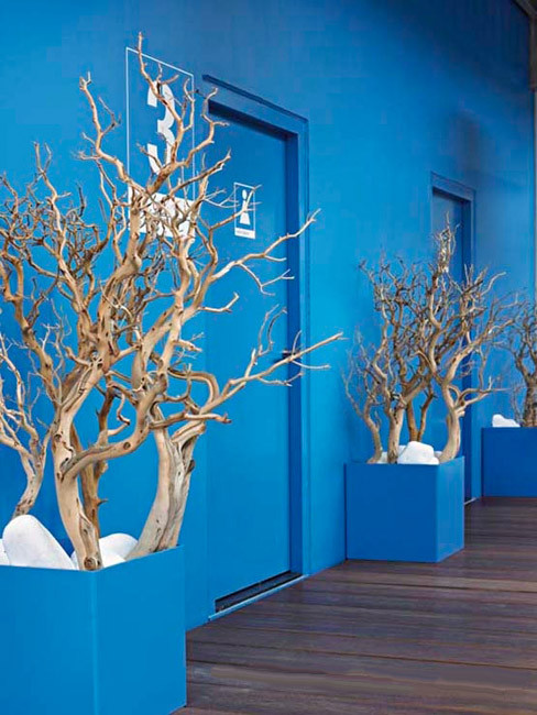 ZONDA: square Planters made of Polystyrene