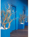 ZONDA: square Planters made of Polystyrene