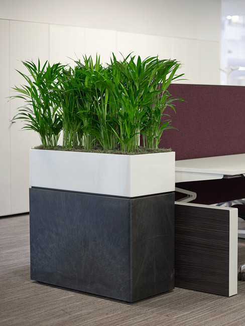 ZONDA: recatangular Planter & Room Divider made of Polystyrene