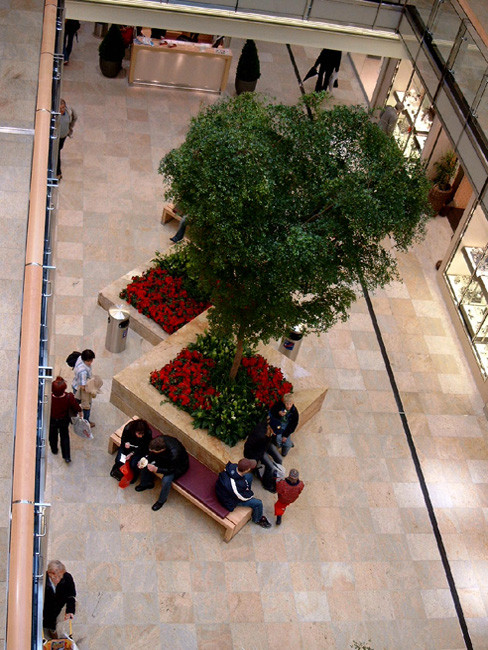 Sitzbank ANDANTE Buche, mit Sitzauflage aus gepolstertem Leder