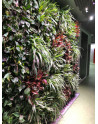 GREEN WALLS