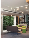 GREEN WALLS