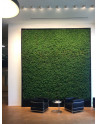 GREEN WALLS