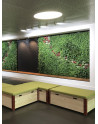 GREEN WALLS